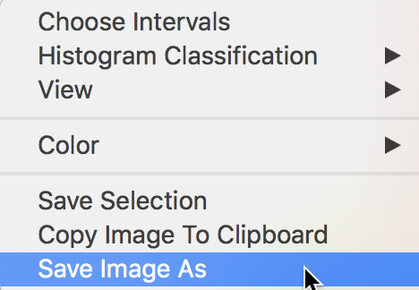 Save image as option