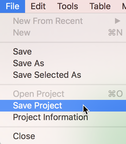 Save Project option