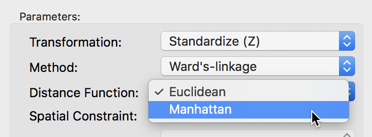 Manhattan distance metric