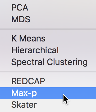 Max-p cluster option
